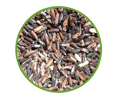 Ancient Black Rice-1 KG