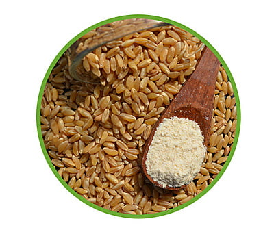 Bansi Wheat Flour (Extra Fiber)-1 KG